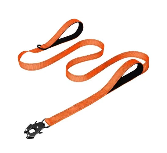Robuste Reflektierende Nylon Hundeleine – Outdoor-Leine mit Weich Gepolsterten Zwei Griffen und Auto-Lock Frog Clip