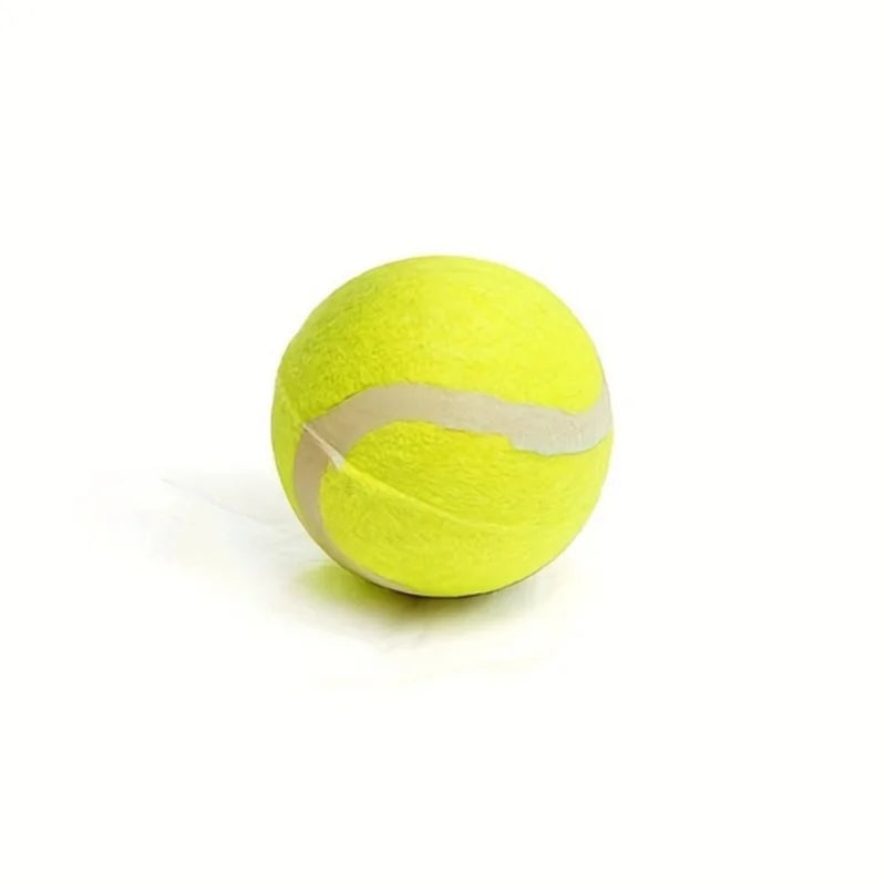 Tennisball Wurfstick für Haustiere – Robuster Outdoor Spiel- und Trainingswerfer für Hunde, Ideal für Bewegung und Apportiertraining