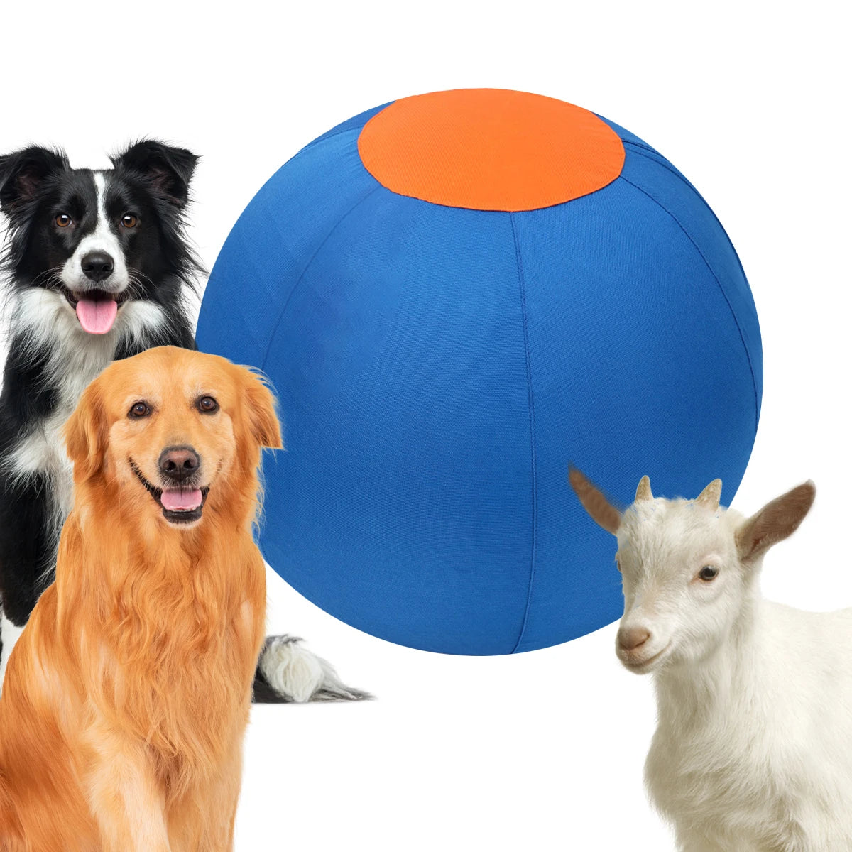 Riesiger Outdoor-Hundespielball – Großes Trainingsspielzeug für Interaktives Spielen und Farbige Bewegungsspiele