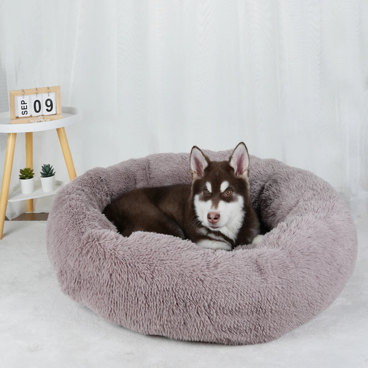 Großes Donut Hundebett – Flauschiges Rundes Winter Plüschbett für Kleine, Mittlere & Große Hunde | Weiches Kuschelkörbchen für Welpen & Katzen