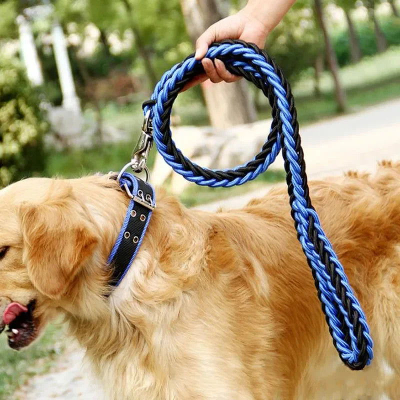 130cm Super Starke Nylon Hundeleine mit Verstellbarem Canvas Doppelreihen-Halsband – Für Mittelgroße und Große Hunde