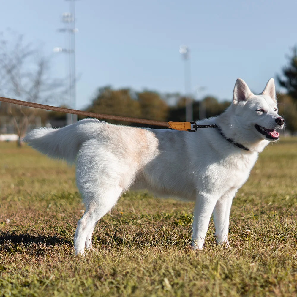 1.8M Hands-Free Hundeleine – Verstellbare Hüftgurt-Leine für Laufen und Spazieren | Einfache und Robuste Leine für Große Hunde