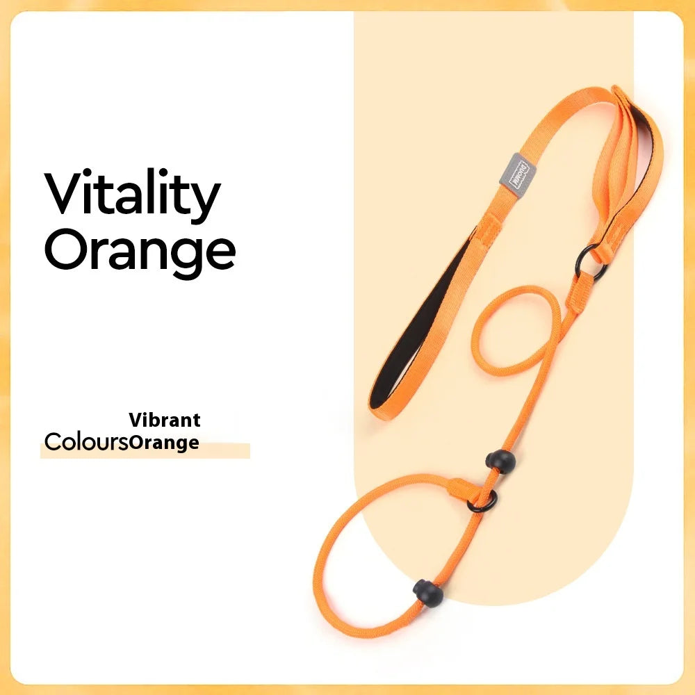 Anti-Zug Martingale Hundeleine – Reflektierende All-in-One Trainingsleine mit Nachtsicht & Anti-Verhedderungs-Design für Mittelgroße & Große Hunde