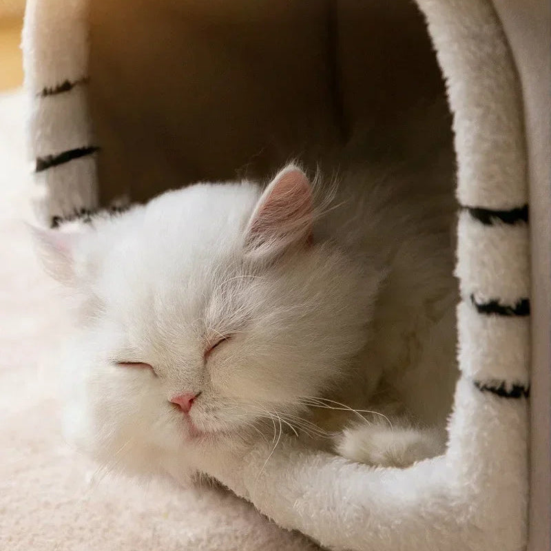 Faltbares Hunde- und Katzenhaus – Warmes Winter Höhlenbett für Kleine und Mittelgroße Haustiere | Weiches Körbchen, Sofa und Kuschelnest für Welpen und Katzen