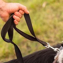 180cm Hundeleine mit Zwei Griffen – Nylon Trainingsleine mit Beidseitiger Reflektion für Kleine bis Große Hunde