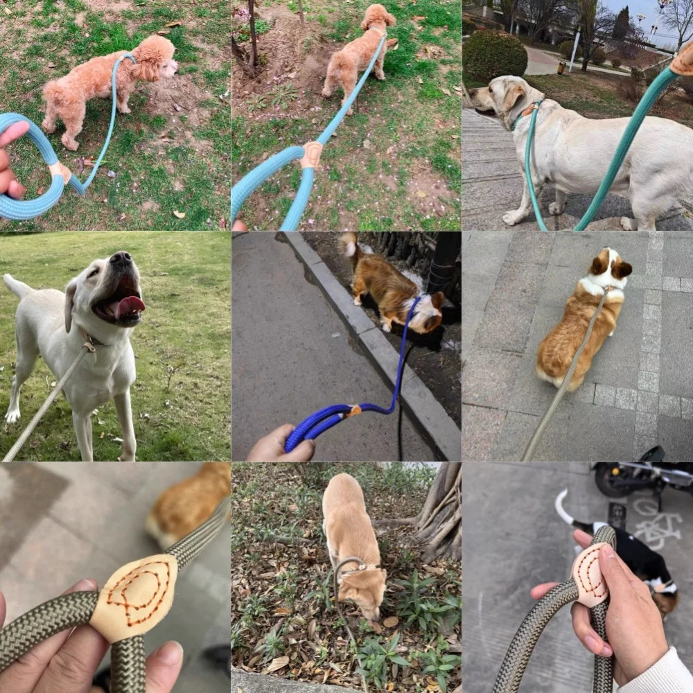 Robuste Geflochtene Hundeleine – 1.5M / 1.8M Slip Rope Trainingsleine mit Verstellbarer Schlaufe für Mittelgroße und Große Hunde