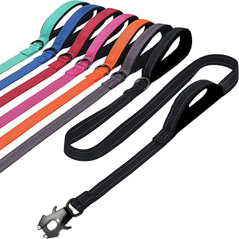 Robuste Reflektierende Nylon Hundeleine – Outdoor-Leine mit Weich Gepolsterten Zwei Griffen und Auto-Lock Frog Clip