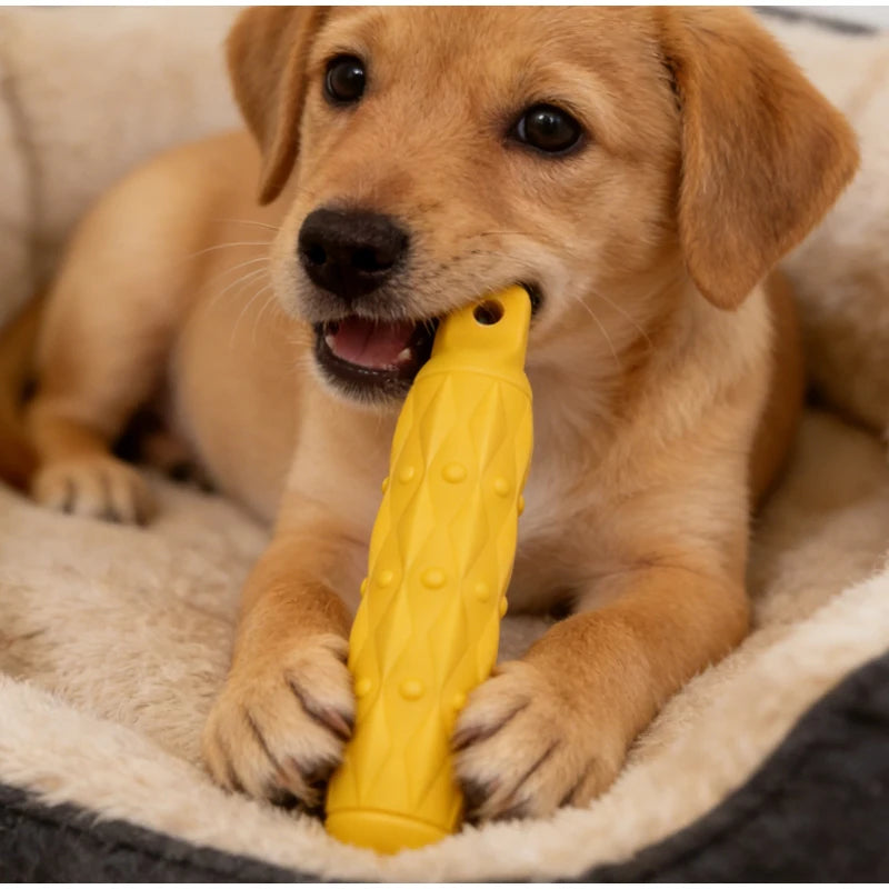 Ultra Strapazierfähiges EVA Hundespielzeug – Mehrfarbiger Unzerstörbarer Kau-Stock für Große Hunderassen