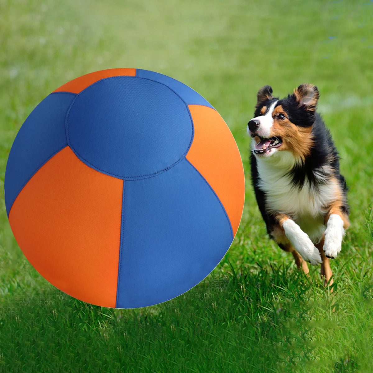 Riesiger Outdoor-Hundespielball – Großes Trainingsspielzeug für Interaktives Spielen und Farbige Bewegungsspiele