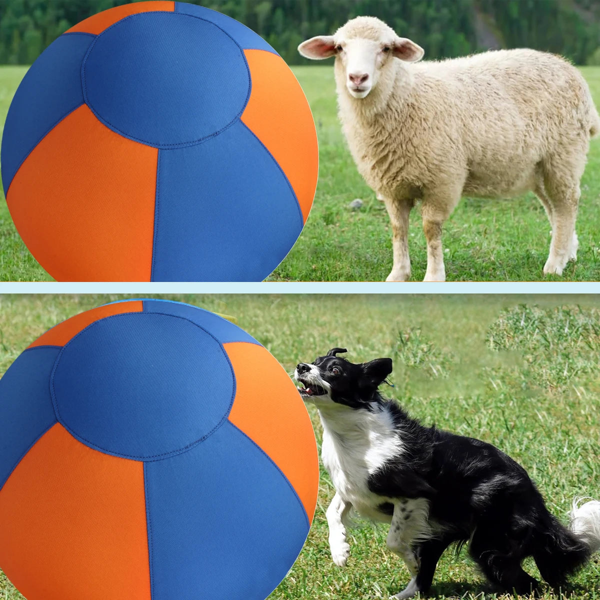 Riesiger Outdoor-Hundespielball – Großes Trainingsspielzeug für Interaktives Spielen und Farbige Bewegungsspiele