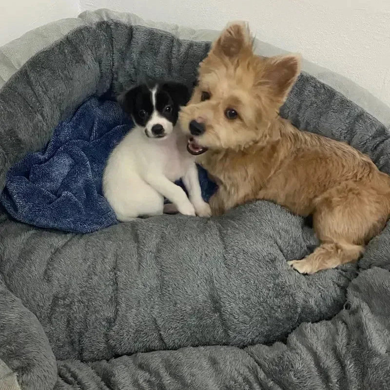 Sehr Weiches Warmes Hundebett – Flauschiger Haustierkorb & Katzenhaus Sofa für Mittelgroße und Große Hunde | Weiches Kissenbett Haustierzubehör