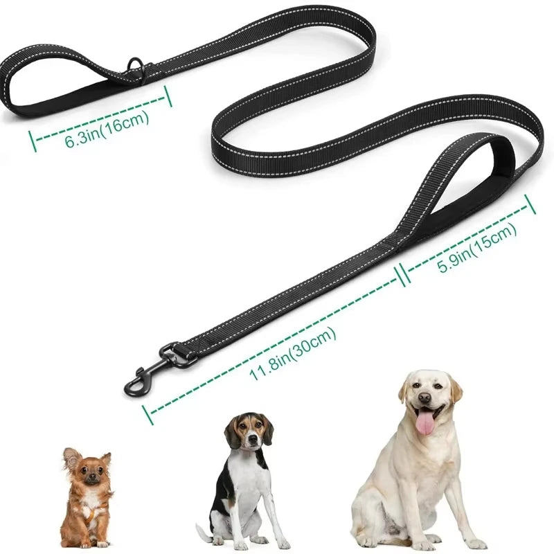 180cm Hundeleine mit Zwei Griffen – Nylon Trainingsleine mit Beidseitiger Reflektion für Kleine bis Große Hunde