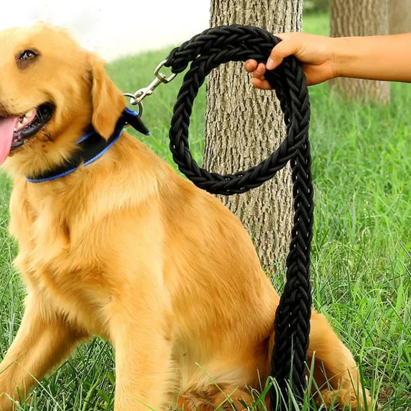 130cm Super Starke Nylon Hundeleine mit Verstellbarem Canvas Doppelreihen-Halsband – Für Mittelgroße und Große Hunde