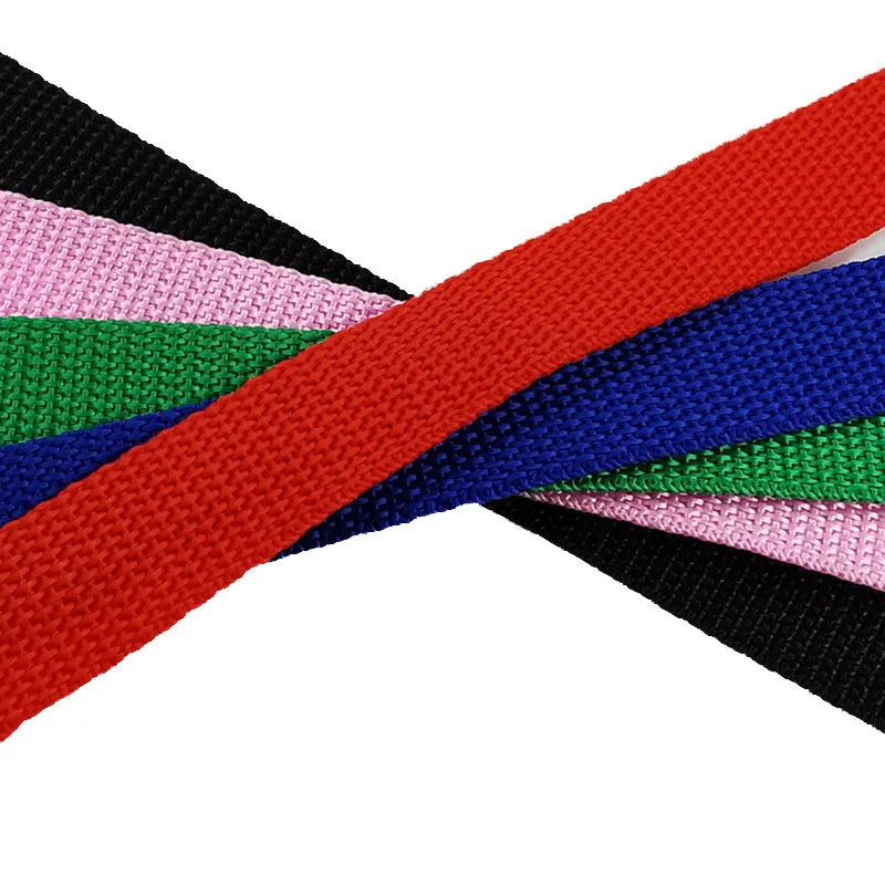 10M Nylon Hundetrainingsleine – Lange Führleine für Spaziergänge und Outdoor-Training für Kleine und Große Hunde