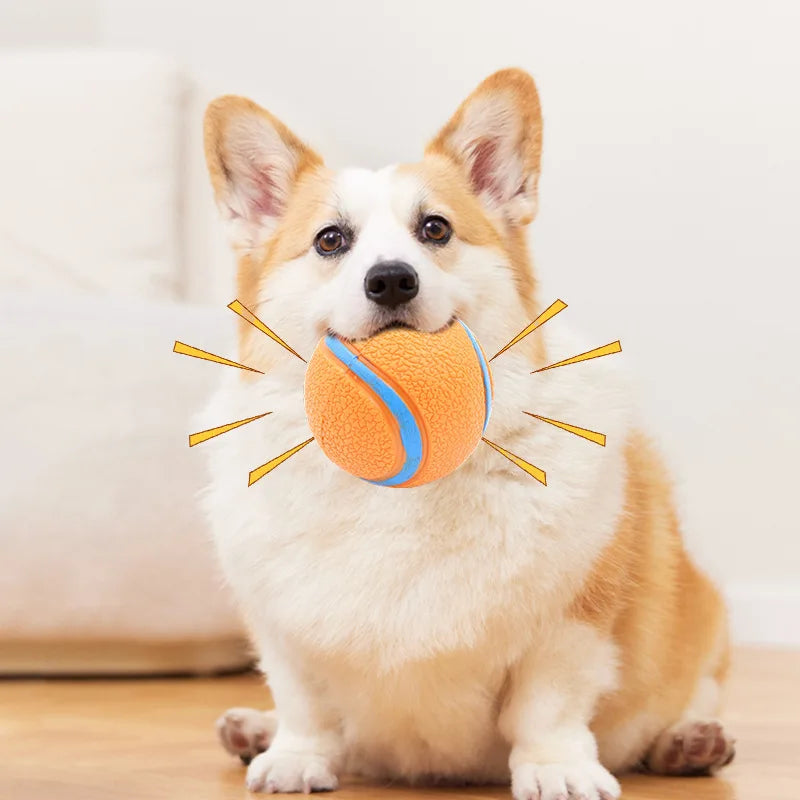 Robuster Solider Hundeball – Elastischer Apportier- und Kau-Ball für Welpen und Aktive Hunde