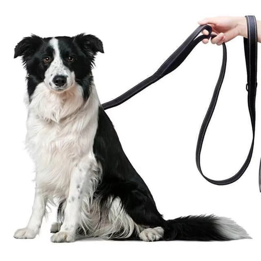 180cm Hundeleine mit Zwei Griffen – Nylon Trainingsleine mit Beidseitiger Reflektion für Kleine bis Große Hunde
