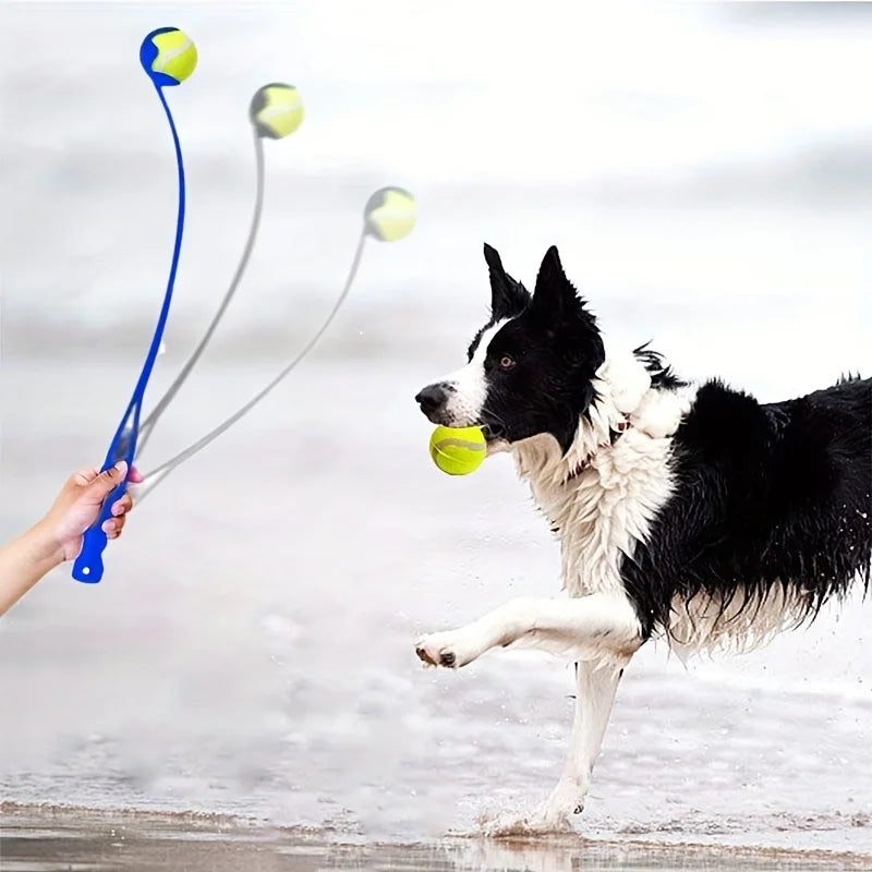 Tennisball Wurfstick für Haustiere – Robuster Outdoor Spiel- und Trainingswerfer für Hunde, Ideal für Bewegung und Apportiertraining