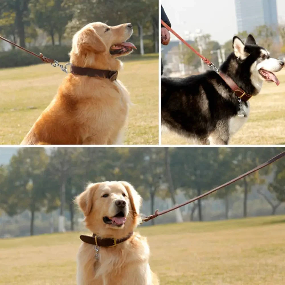 Echtes Leder Hundeleine – Geflochtene Lange Führleine für Mittelgroße und Große Hunde in Braun und Schwarz