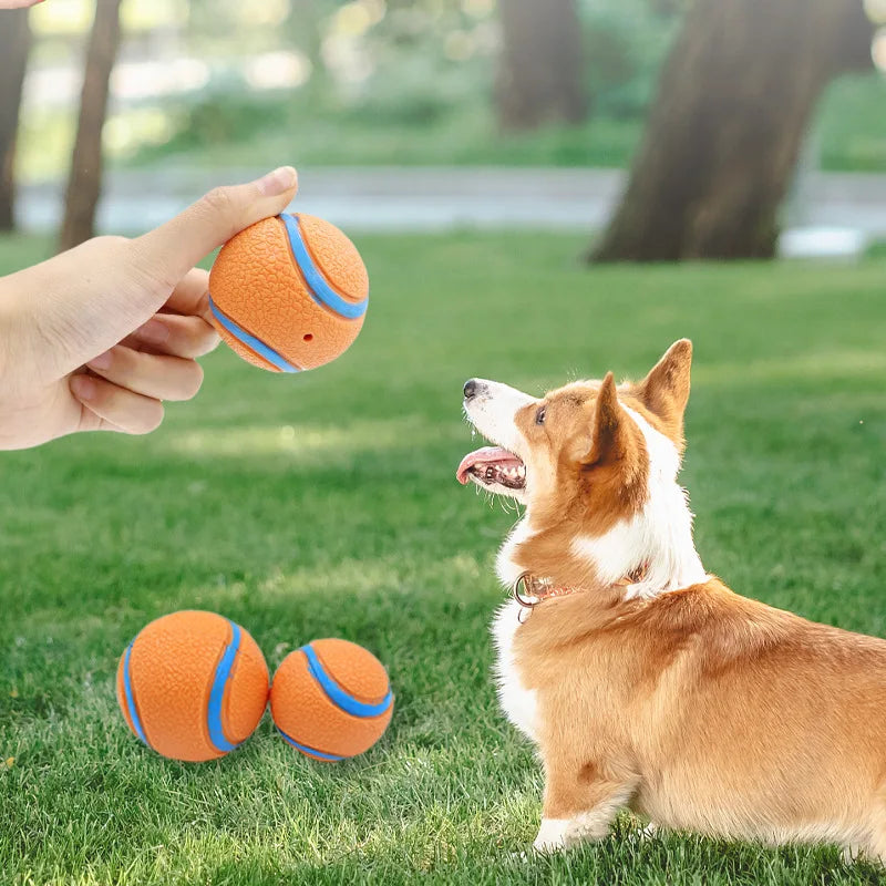 Robuster Solider Hundeball – Elastischer Apportier- und Kau-Ball für Welpen und Aktive Hunde
