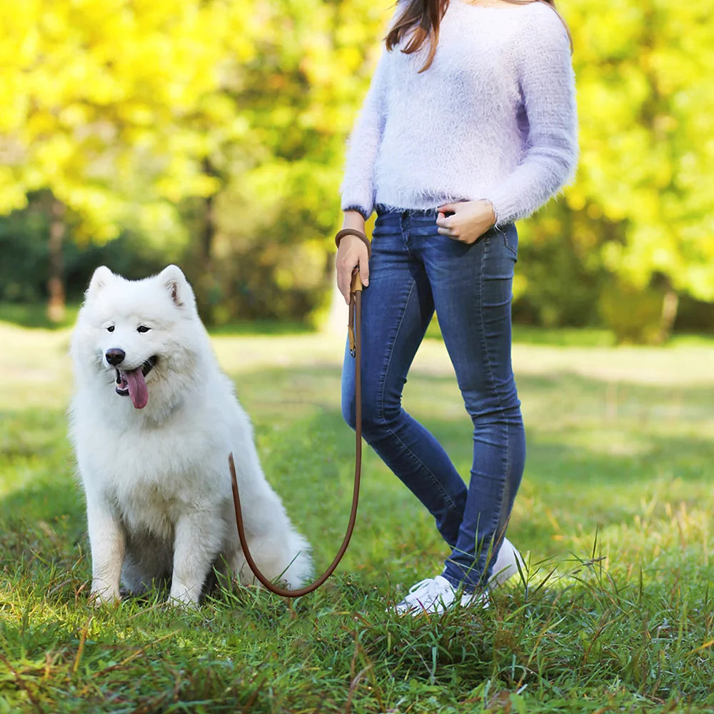 1.8M Hands-Free Hundeleine – Verstellbare Hüftgurt-Leine für Laufen und Spazieren | Einfache und Robuste Leine für Große Hunde