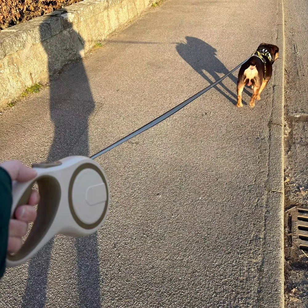8M Rollleine für Hunde – Verlängertes Führband für Outdoor-Spaziergänge und Training | Traktionsgurt für Kleine Hunde, Katzen, Pugs und Labradore