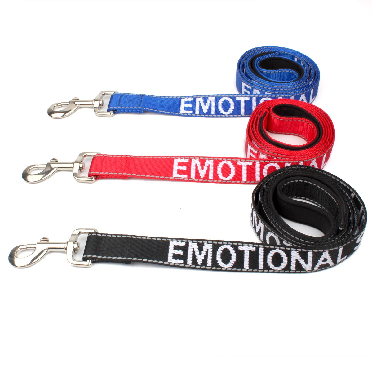 Klassische Reflektierende Nylon Hundeleine – Robuste Führleine für Assistenz- und Emotional Support Hunde