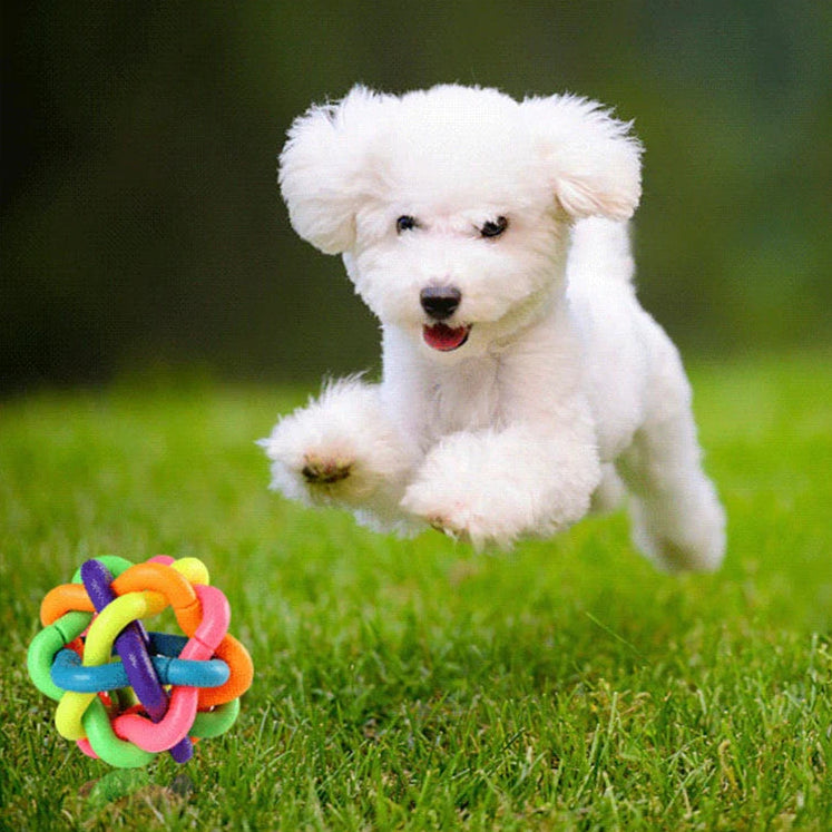 Farbiges Glocken-Hundespielzeug – Bissfestes Gummi-Kau- und Apportierball für Aktive Hunde
