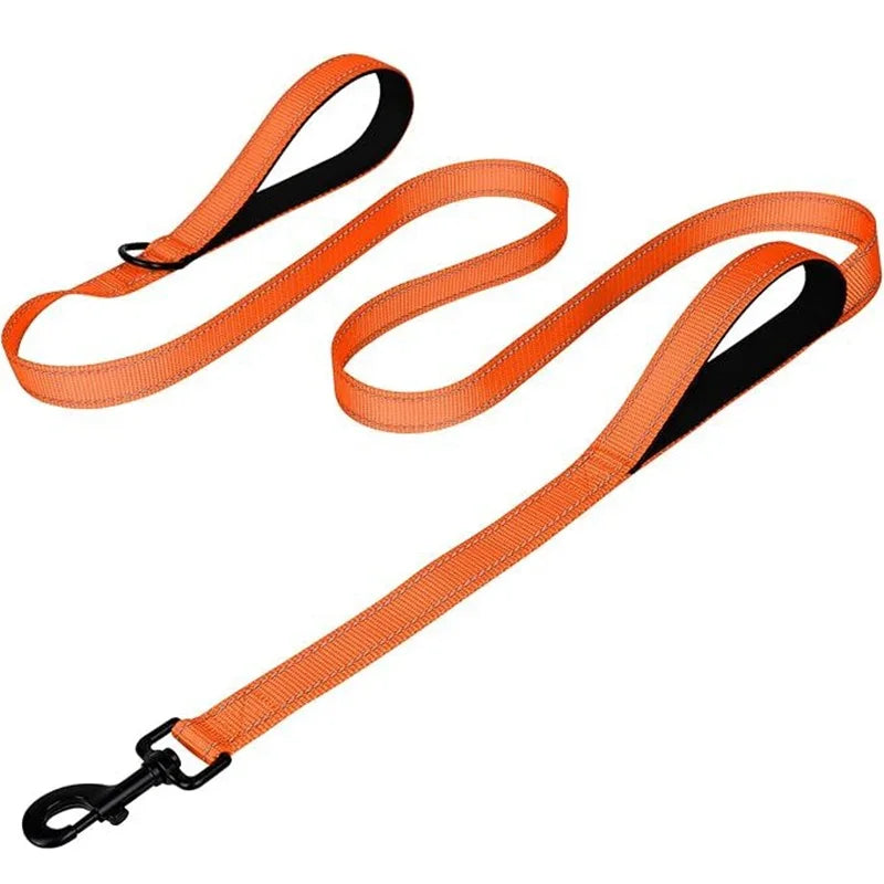 180cm Hundeleine mit Zwei Griffen – Nylon Trainingsleine mit Beidseitiger Reflektion für Kleine bis Große Hunde